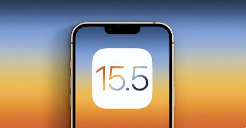 博兴苹果手机维修分享iOS15.5 RC版升级建议 